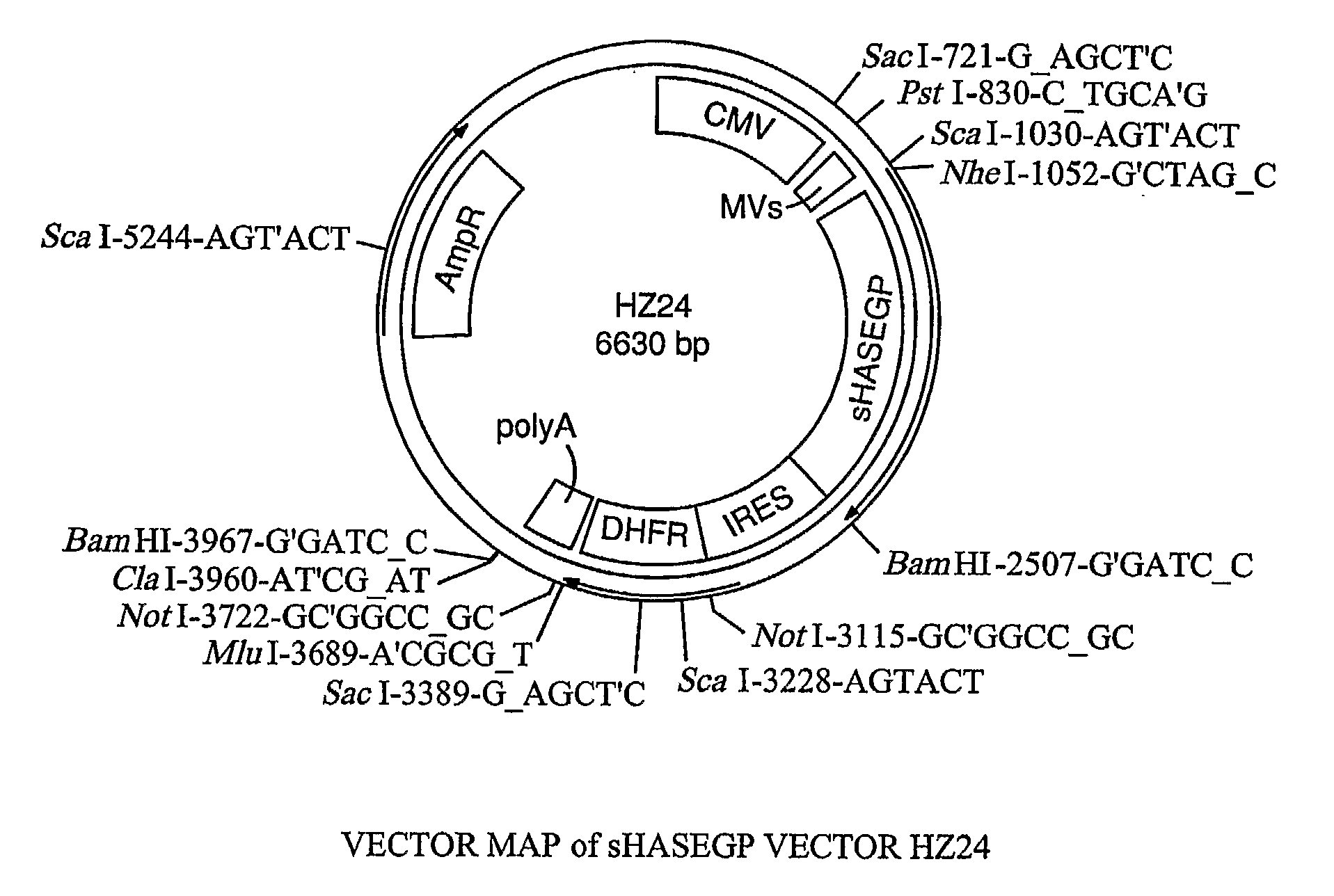 Soluble Glycosaminoglycanases and Methods of Preparing and Using Soluble Glycosaminoglycanases