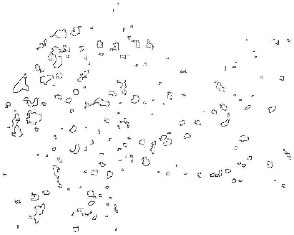 Automatic detection method for optical structure of metallurgical coke