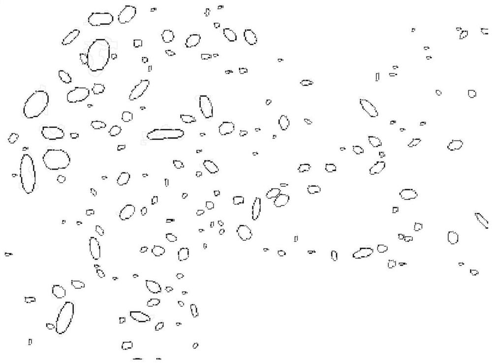 Automatic detection method for optical structure of metallurgical coke