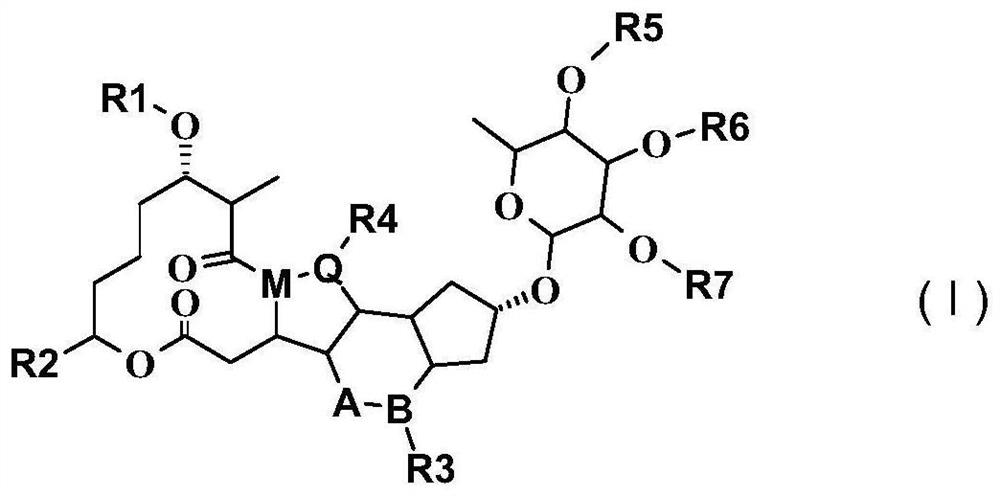 Spinosyn derivative as argininosuccinate synthetase activator and application of spinosyn derivative