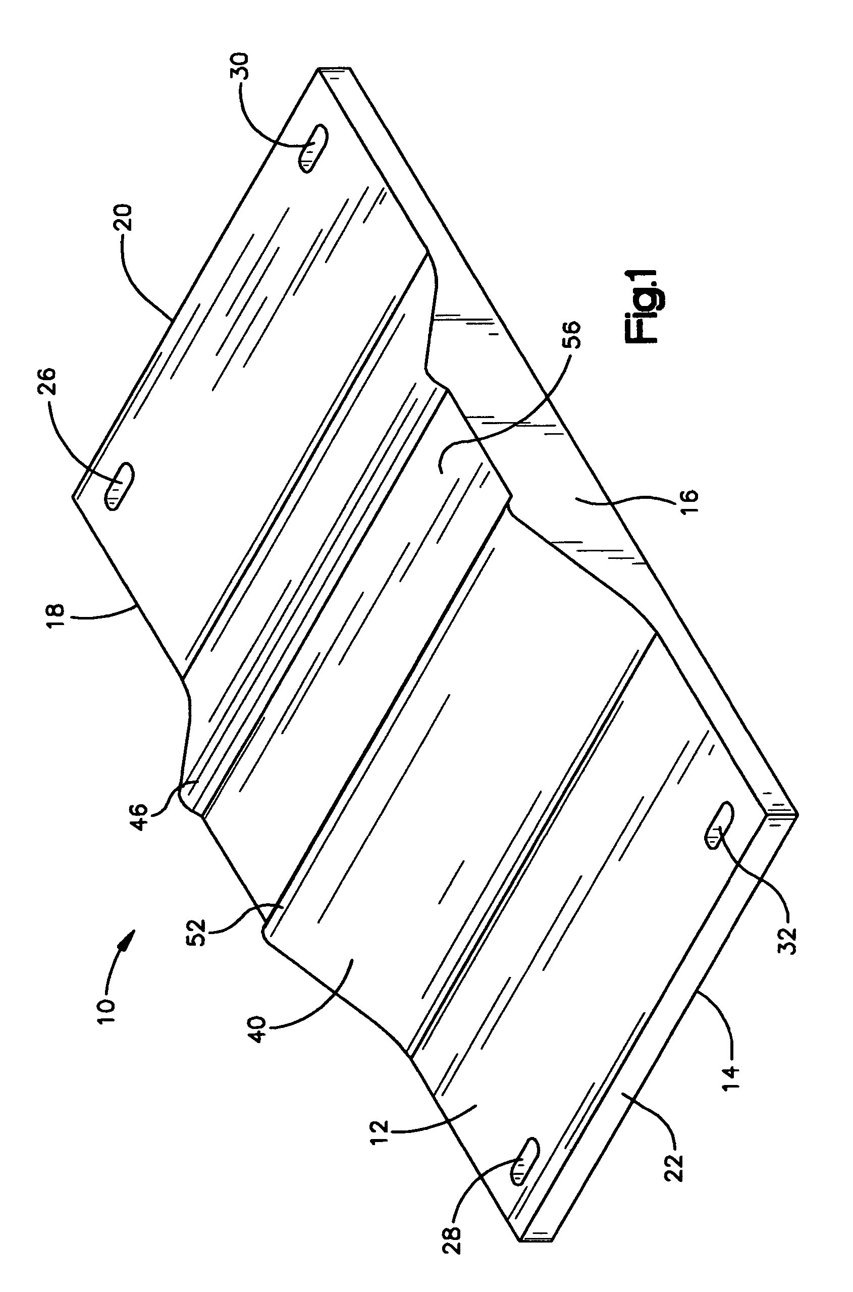 Cardiopulmonary assist device