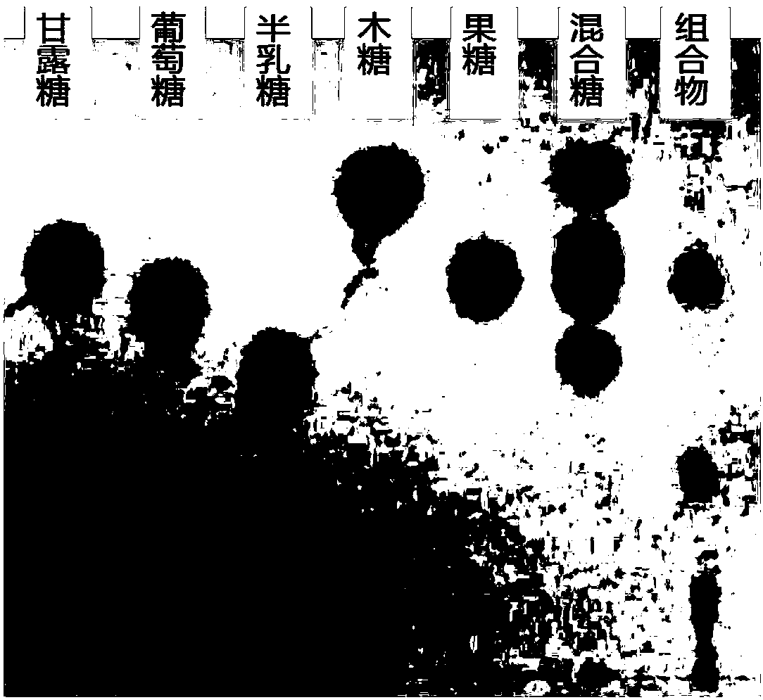 Composition, preparation method and application thereof