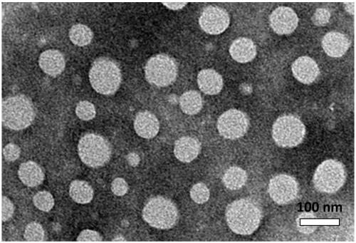 A kind of amphiphilic sericin polymer and its preparation method and application