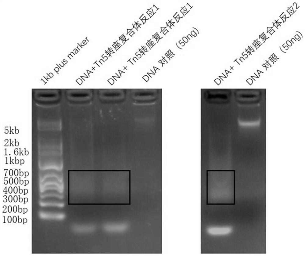 Method and kit for labeling nucleic acid molecules