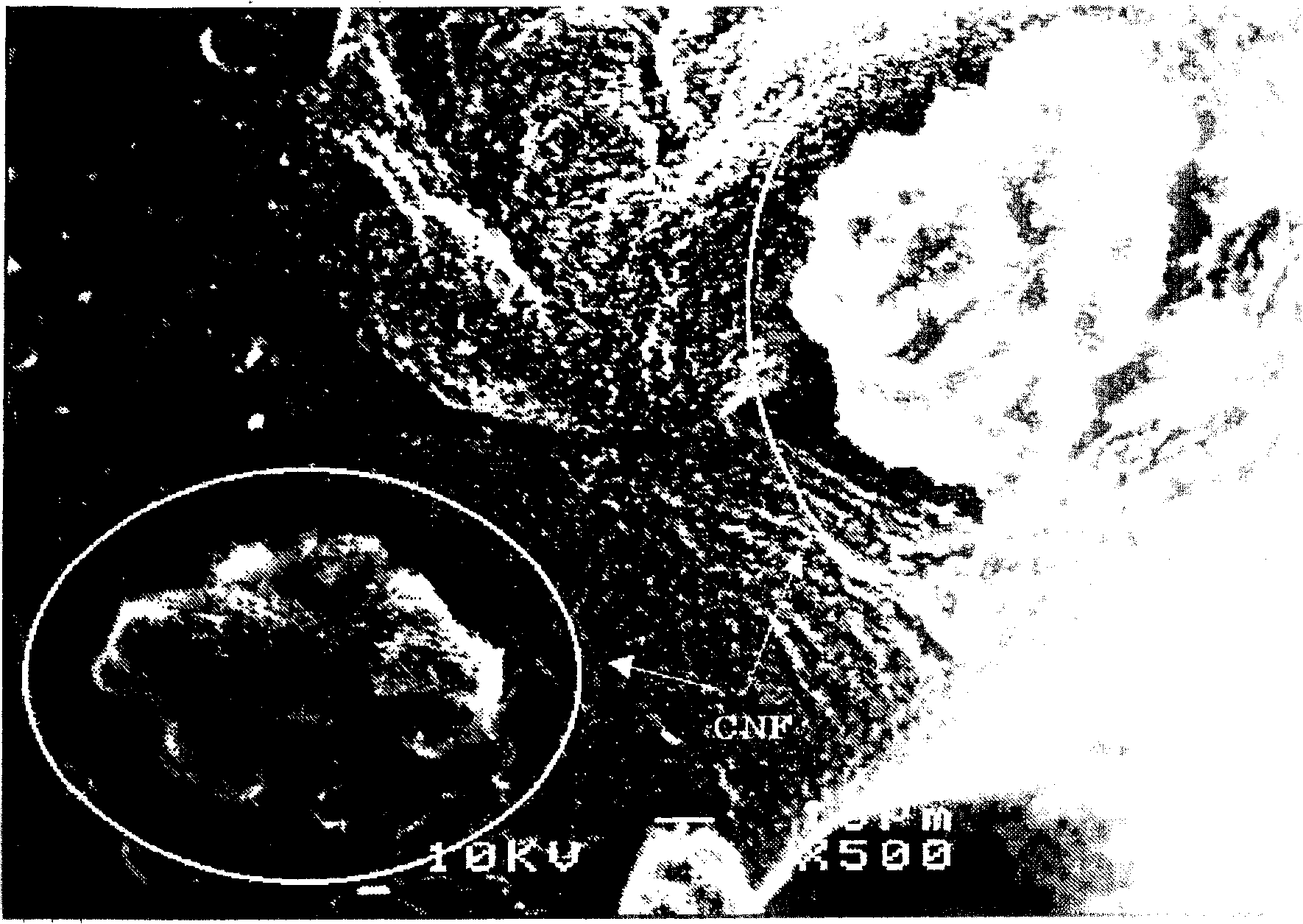 Composite particle for electrode, its manufacturing method and secondary battery