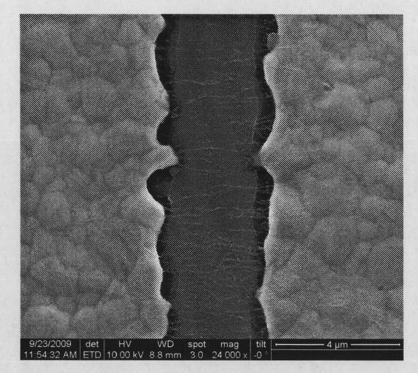 Method for manufacturing alternating current electrophoresis directionally assembled carbon nanotube array sensing device