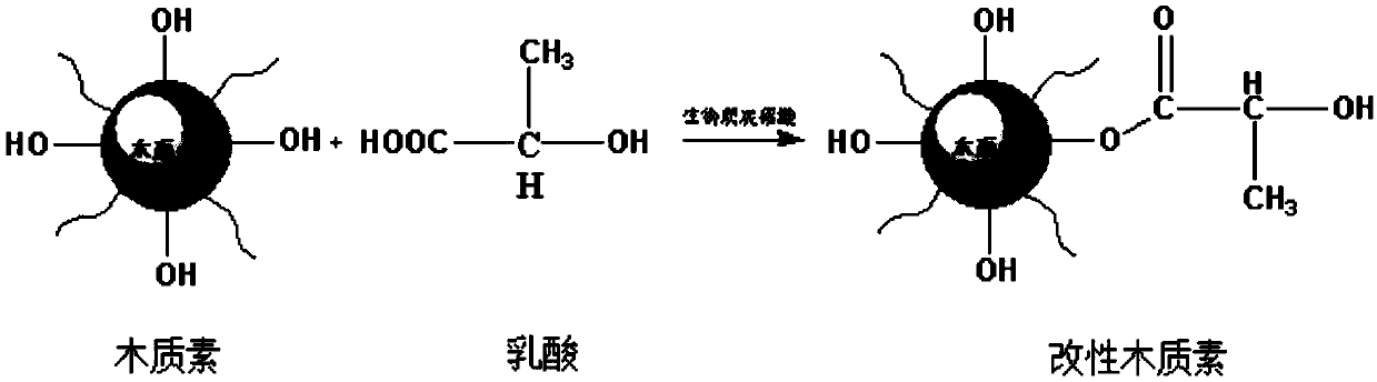 Fire retardant used for polylactic acid, antiflaming polylactic acid material and preparation method of fire retardant