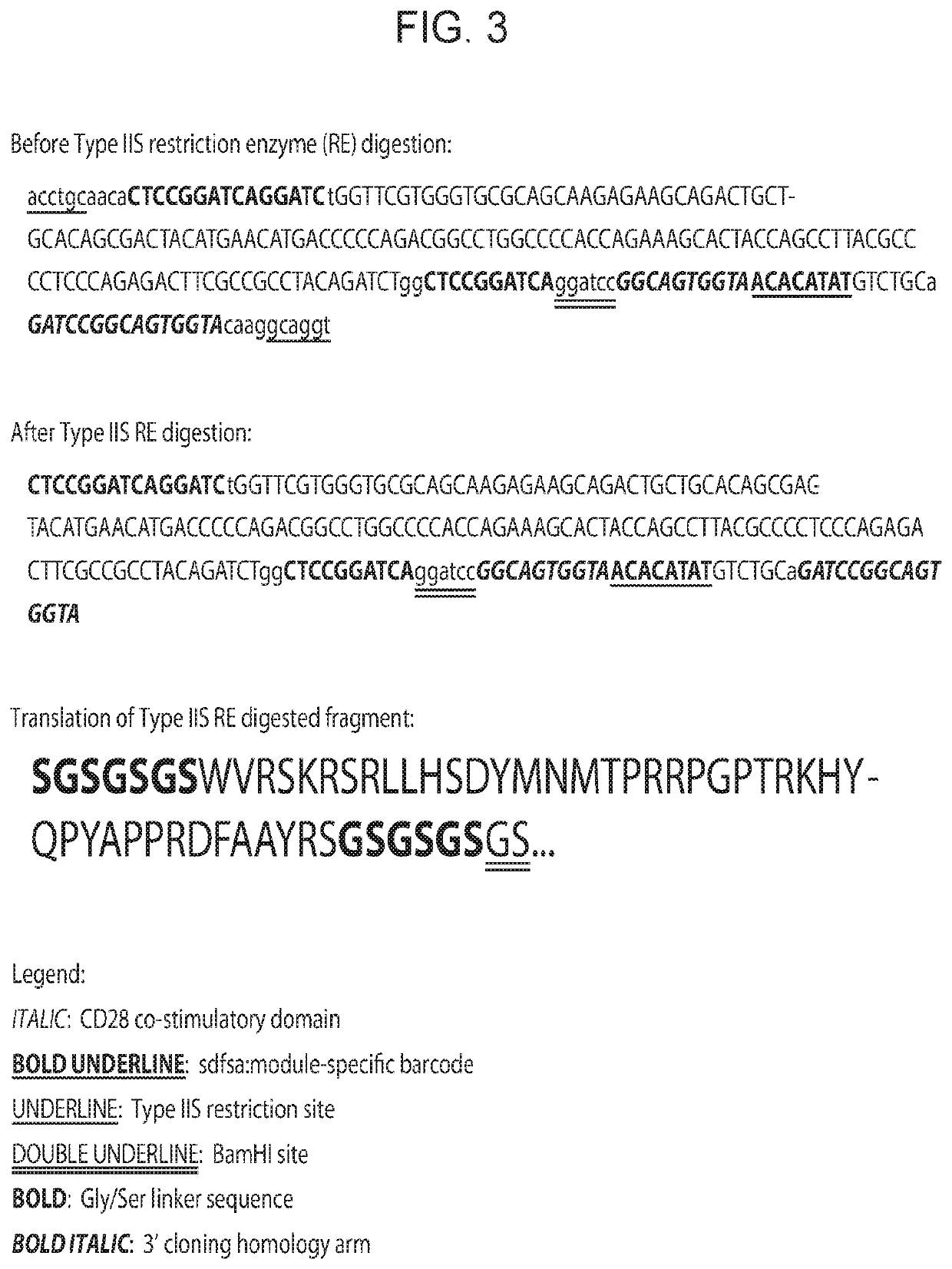 Modular polypeptide libraries and methods of making and using same