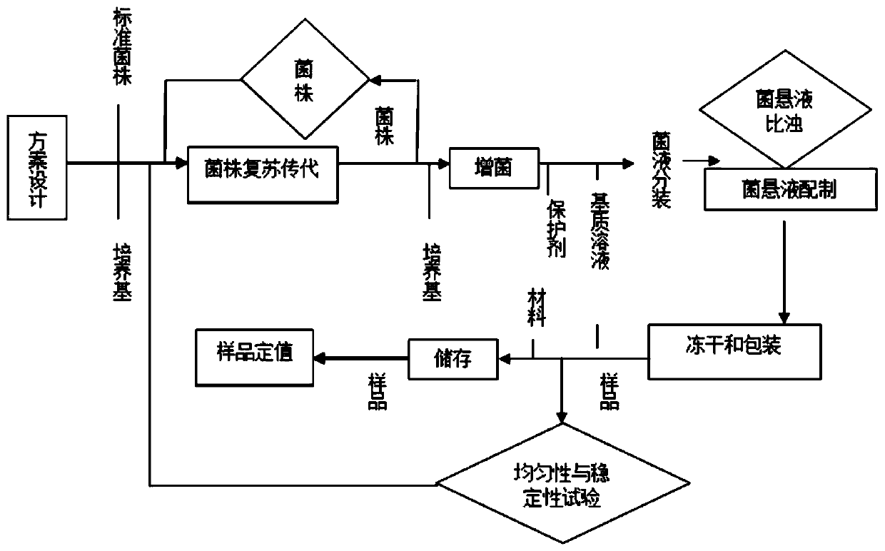 Bacillus subtilis applicability test strain and preparation method thereof