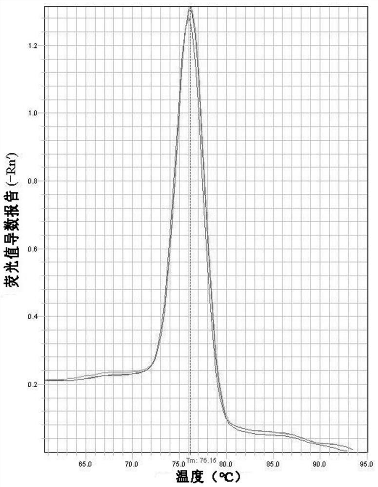 African swine fever virus detection kit and detection method based on e184l gene