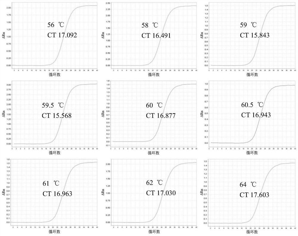 African swine fever virus detection kit and detection method based on e184l gene