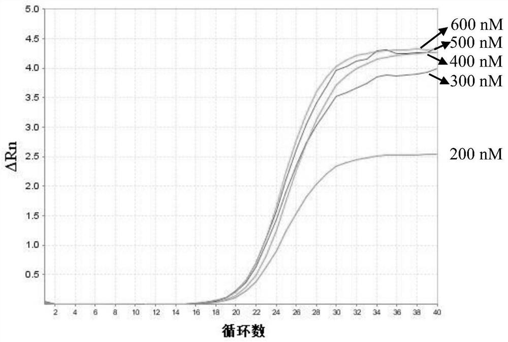 African swine fever virus detection kit and detection method based on e184l gene