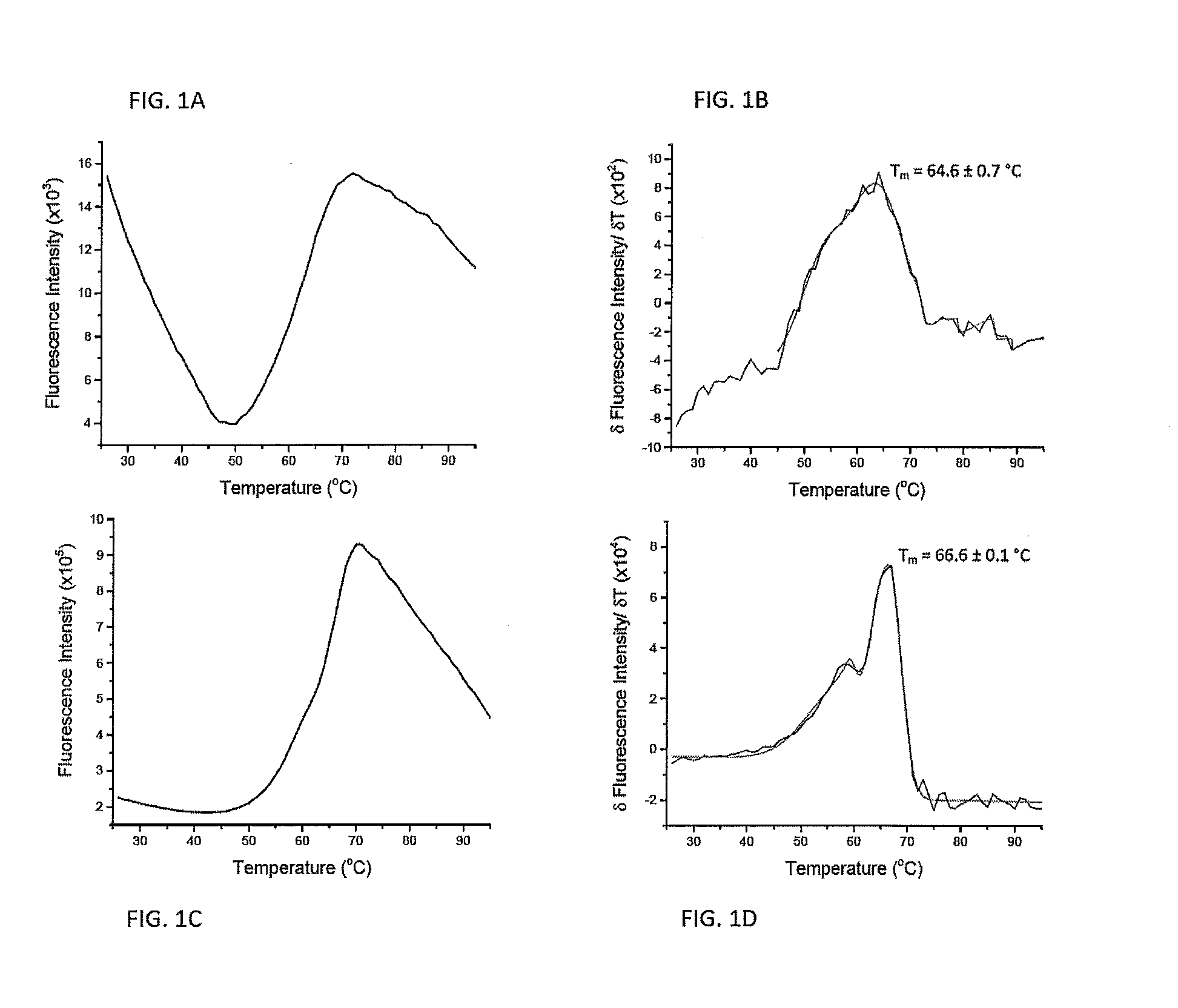 Protein folding and methods of using same