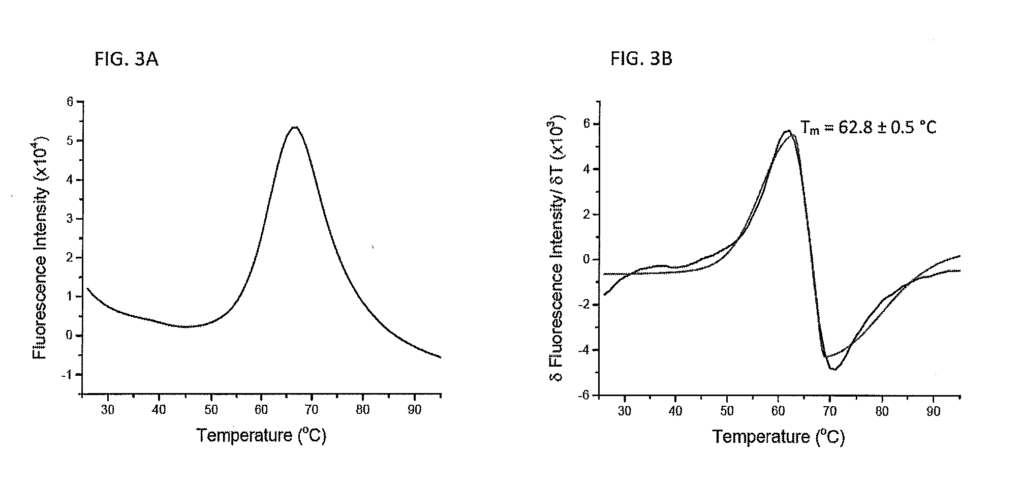 Protein folding and methods of using same