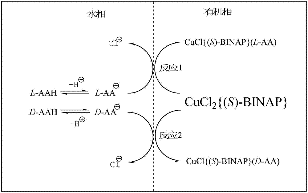 New method for separation of phenylalanine enantiomer by reaction extraction