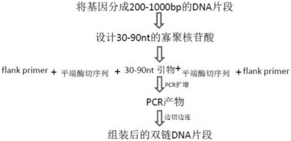 Method for high flux synthesis of nucleotide pool and assembling of double-stranded DNA from semiconductor chips
