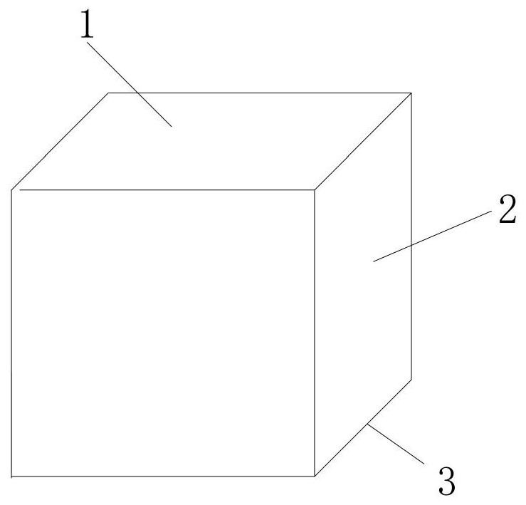 System and method for estimating intertidal zone survival rate of coelomactra antiquata