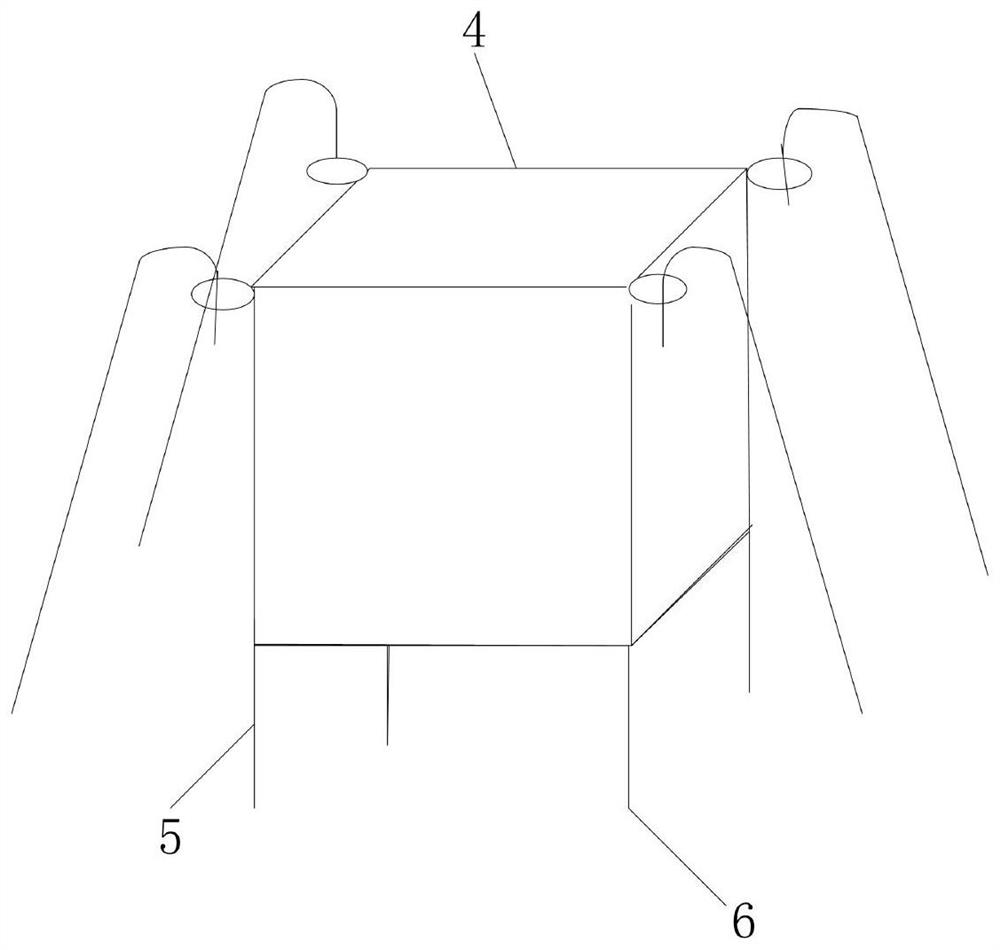 System and method for estimating intertidal zone survival rate of coelomactra antiquata