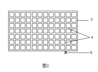 Facility and method for treating edible mushroom culture materials