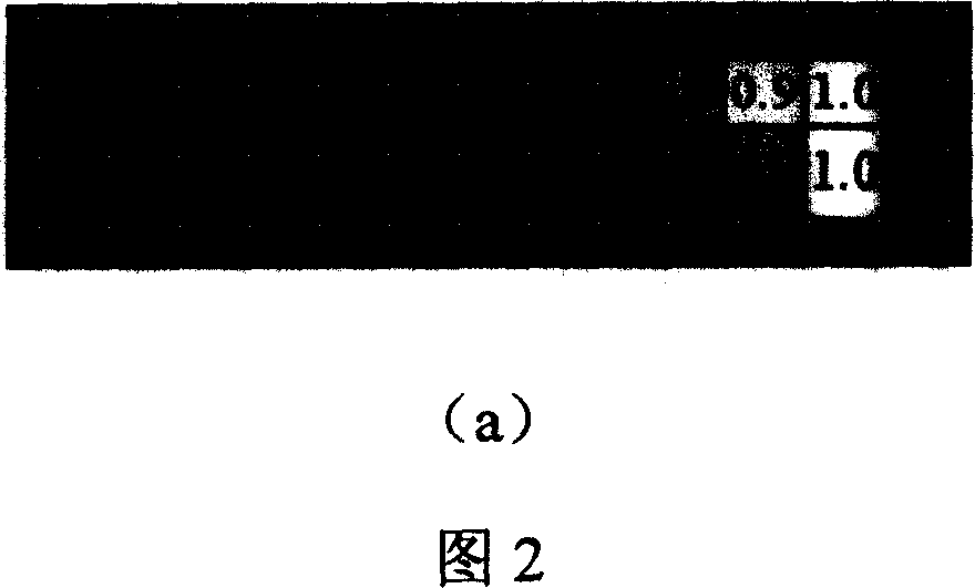 Method and device for correction gamma property of vedio communication