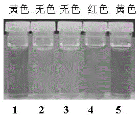 Fluorescent probe reagent for concurrent selection and determination of multiple metal ions, and preparation and appliance