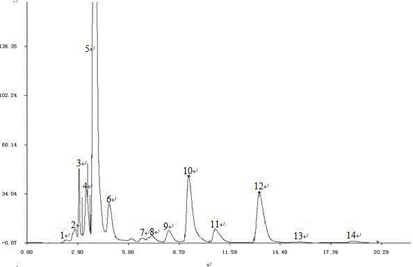 Establishment method of hplc fingerprint of enzymatic hydrolyzate of garlic induced from callus culture