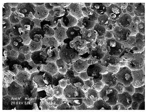 Preparation method of lightweight cordierite-based thermal insulation material