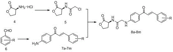 Homoserine lactone compound, its preparation method and application