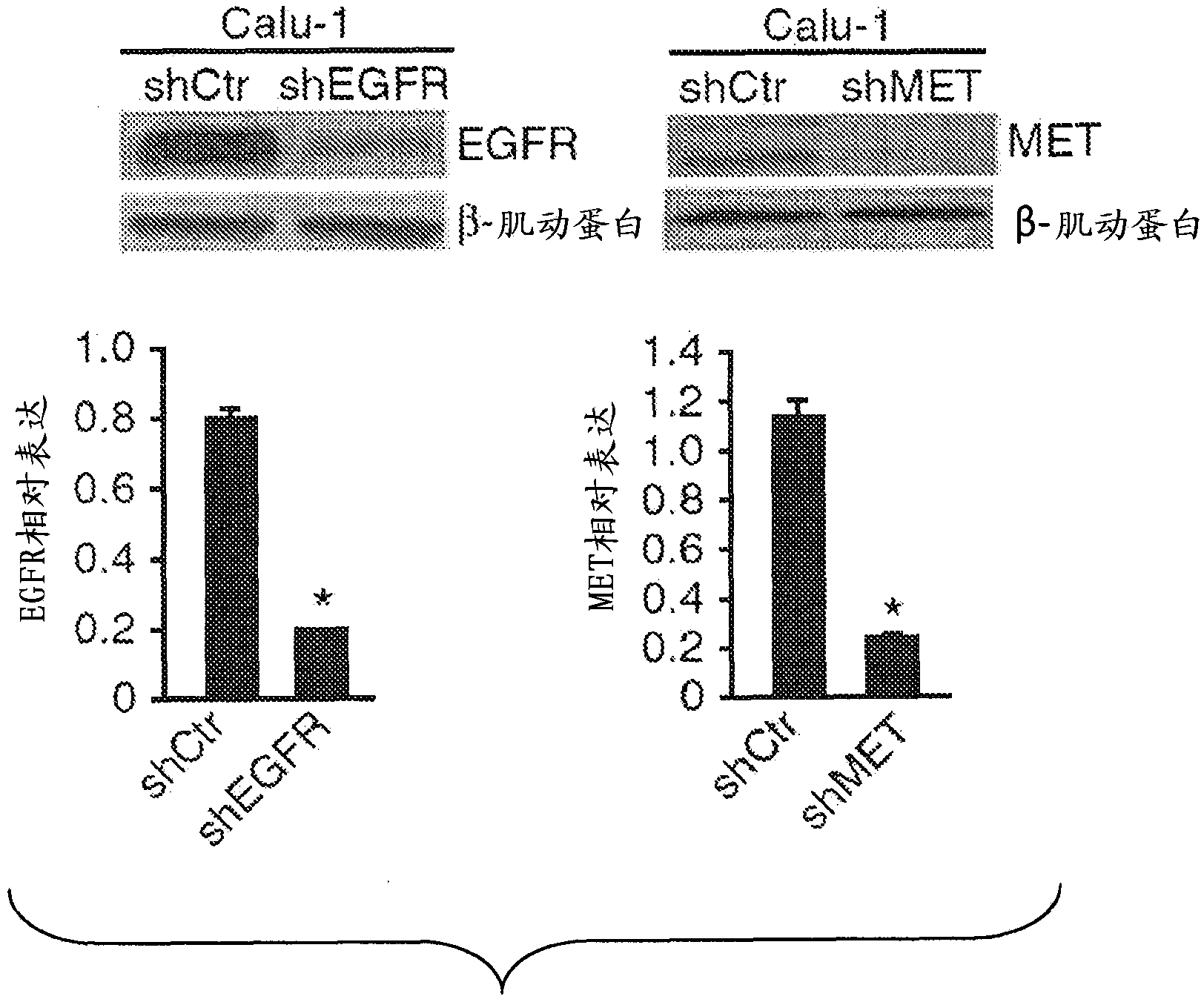 Mirnas useful to reduce lung cancer tumorigenesis and chemotherapy resistance and related compositons and methods