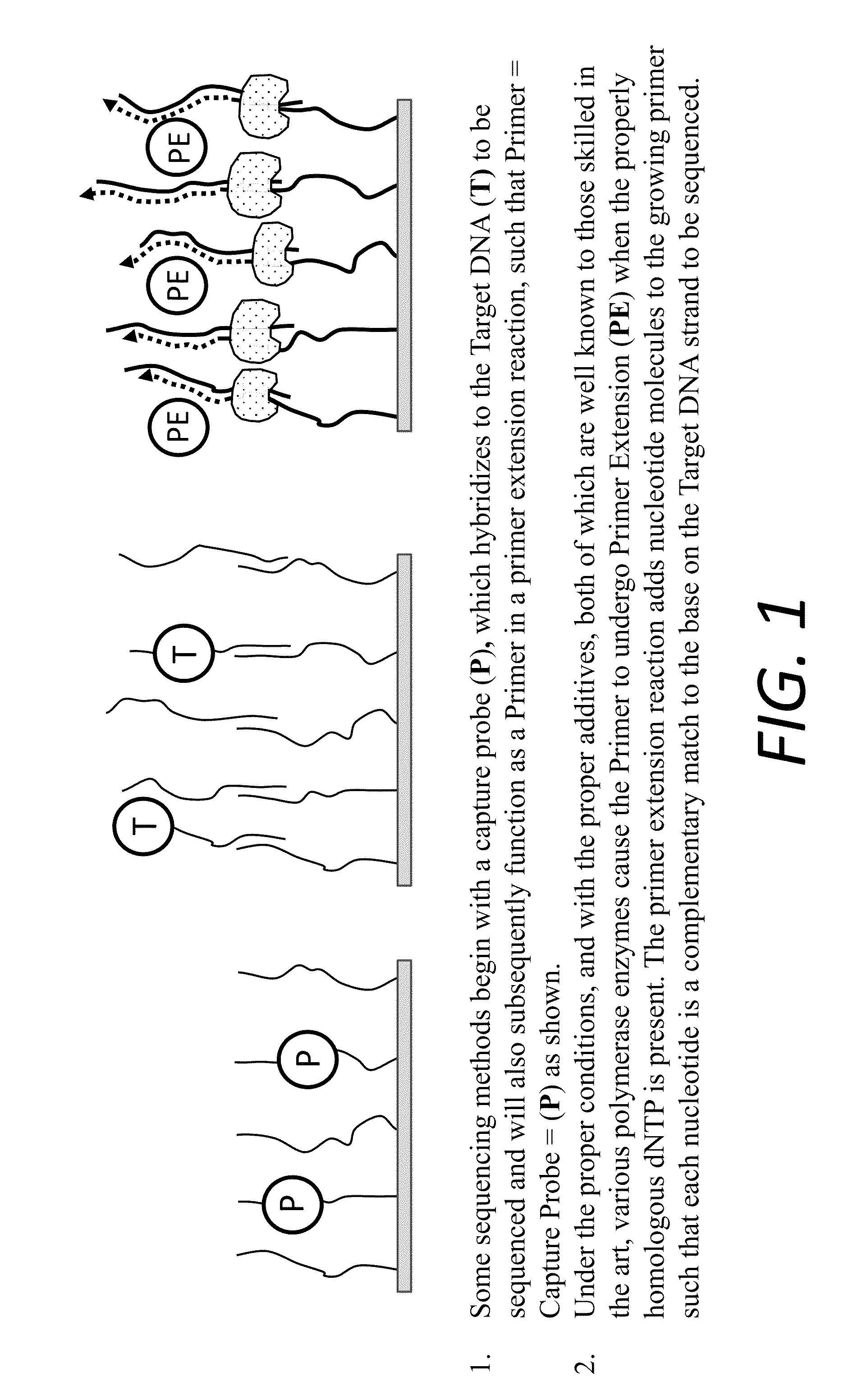 Nucleic acid sequencing technique using a pH-sensing agent