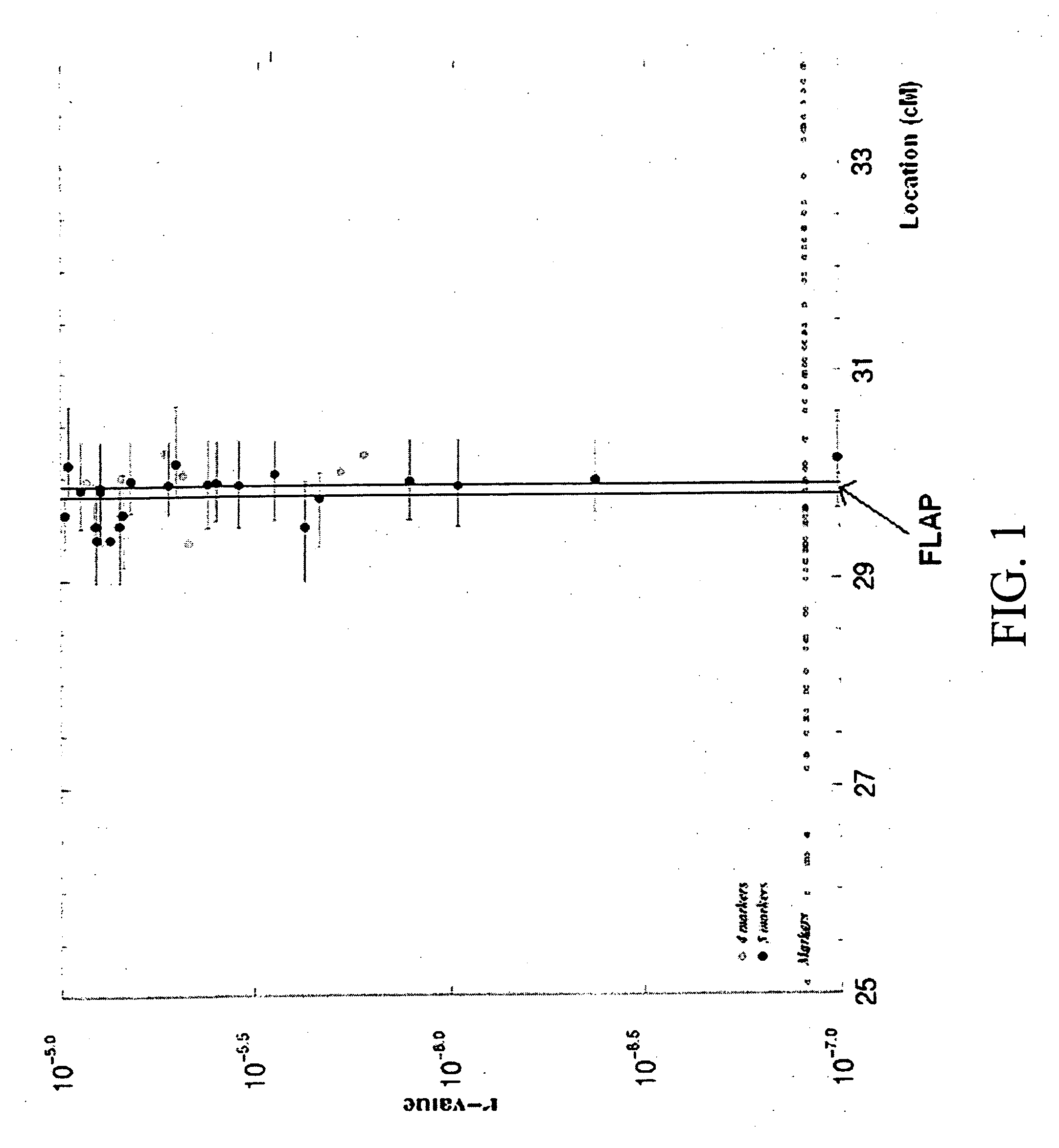 Susceptibility gene for myocardial infarction, stroke, and PAOD, methods of treatment
