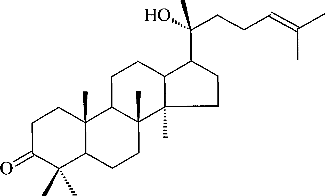 Anti tumor application of 3-carbonyl-20alpha-hydroxy-24-en-dammarane compound