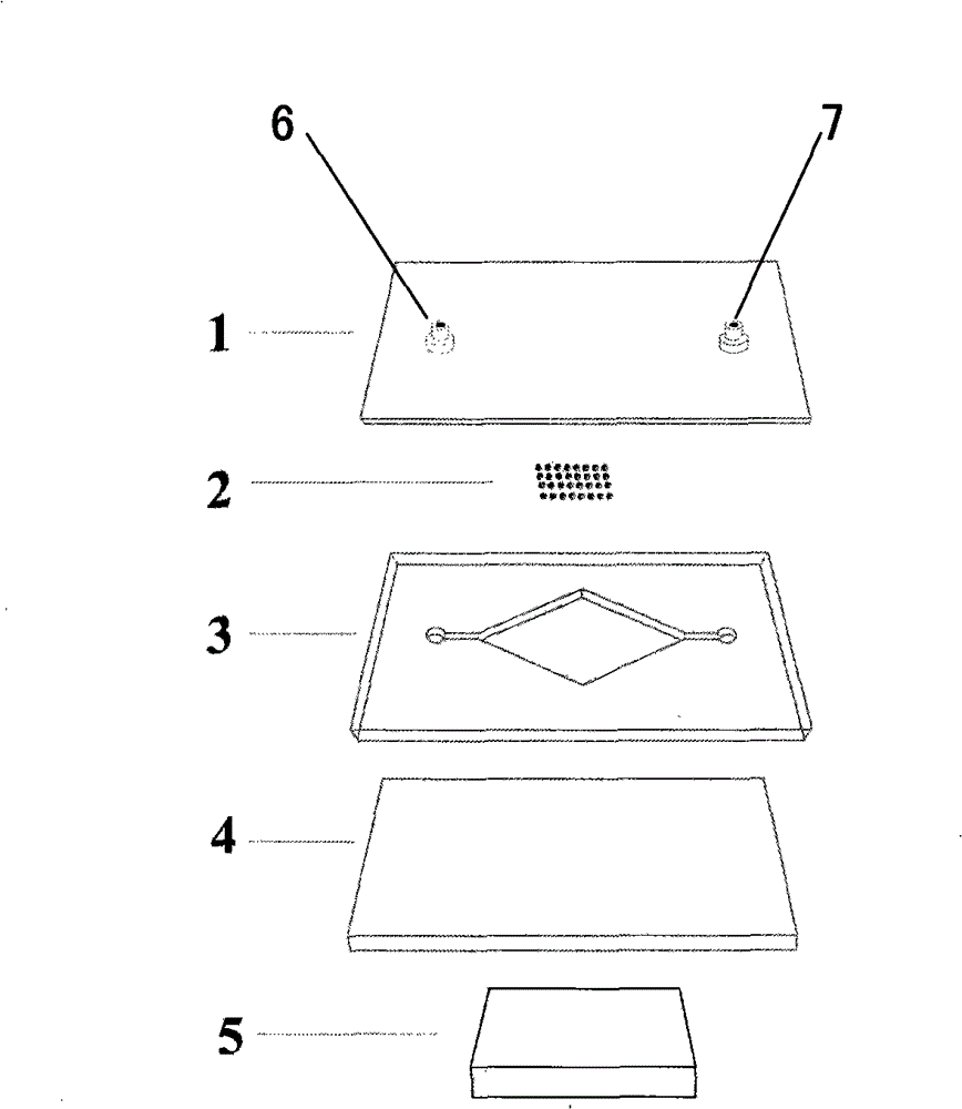 Magnetic particle micro array apparatus for high throughput detecting biomacromolecule and its use method
