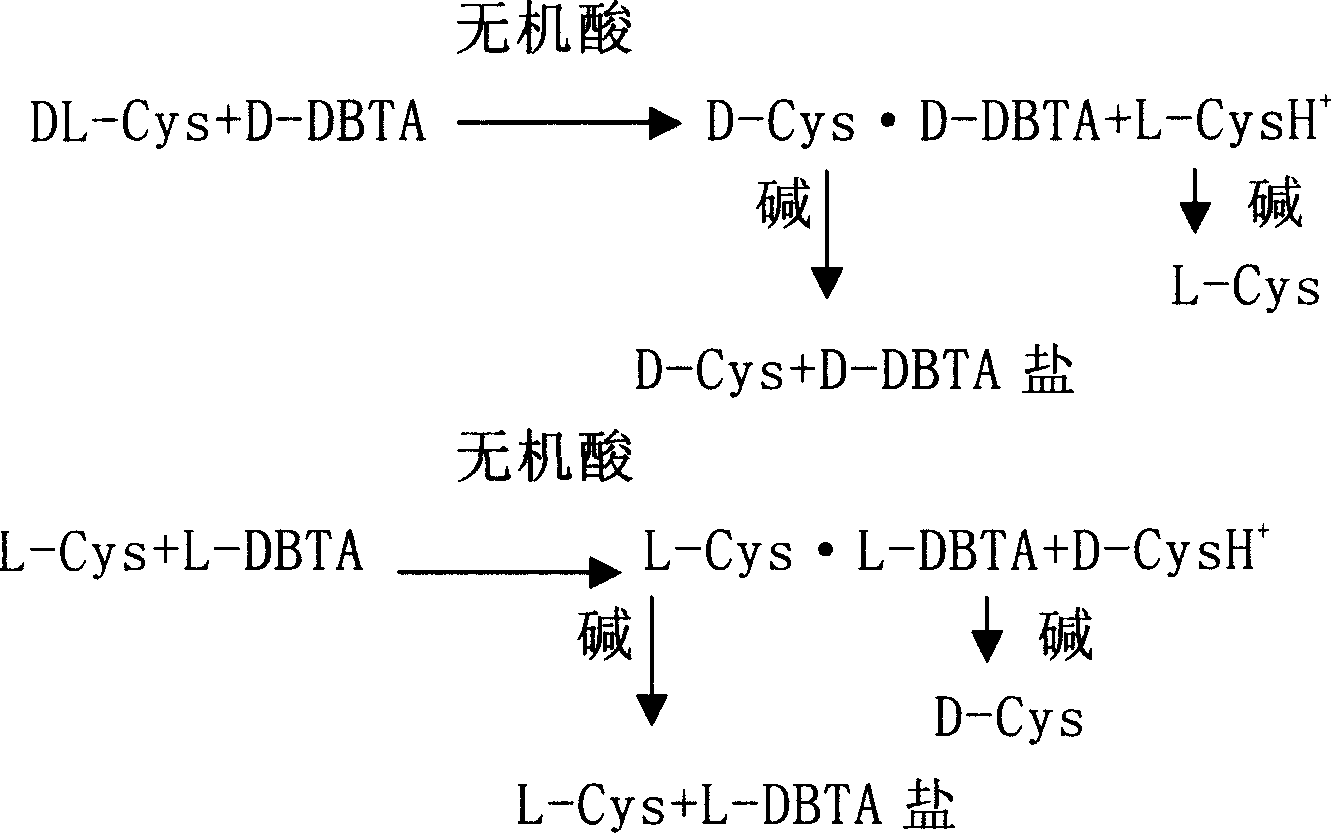 Method for preparing levocysteine and dextral cysteine using chemical resolution method