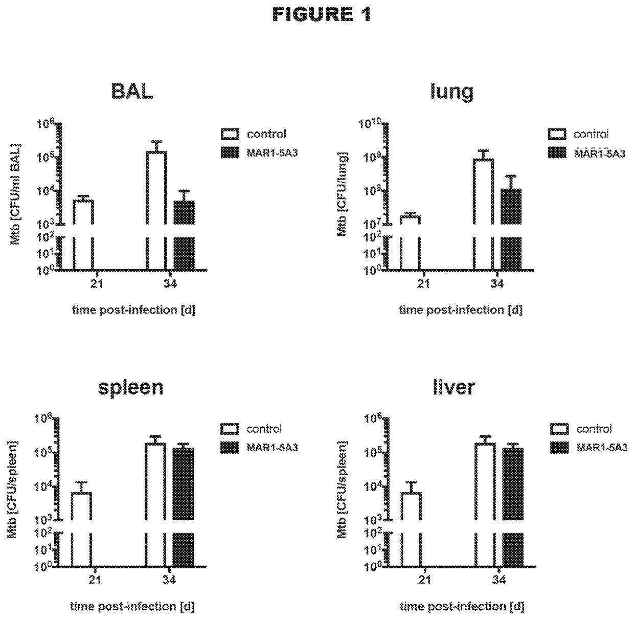 Type 1 interferon receptor antagonists for use in methods of treating tuberculosis and other infectious diseases