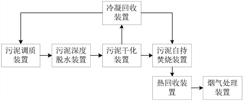 Sludge dewatering, drying and incinerating system and method
