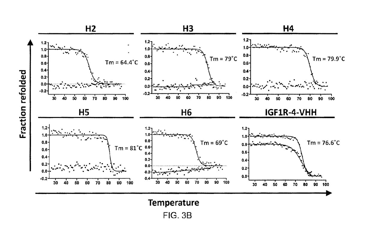 Insulin-like growth factor 1 receptor-specific antibodies and uses thereof