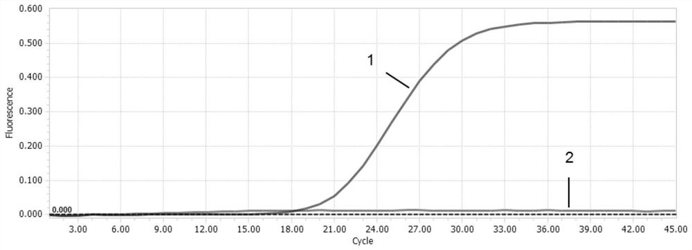 Primer and probe for real-time fluorescence quantitative PCR detection of two genotypes of duck circovirus