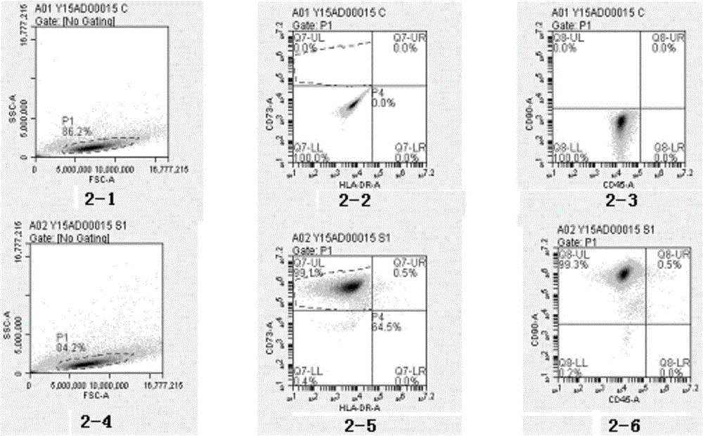 Adipose-derived mesenchymal stem cell osteogenic induction composition and osteogenic induction method thereof