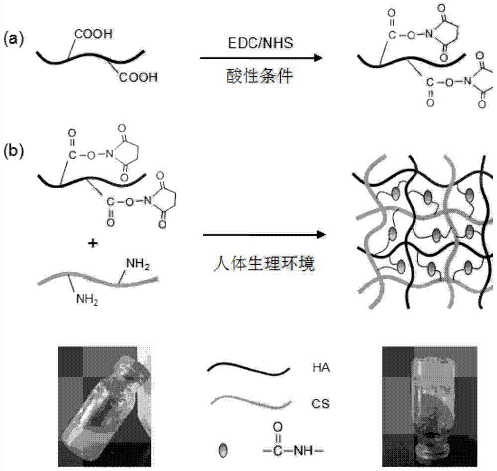 A kind of nerve growth factor injectable in situ hydrogel, preparation and application