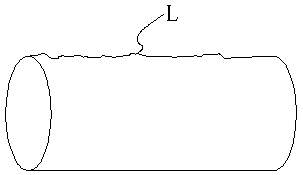 A device and method for detecting the roughness profile of a roller generatrix of a cylindrical roller bearing