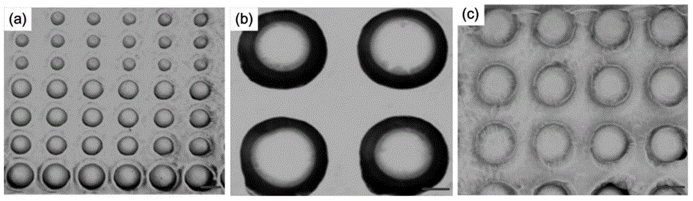 Method for shape representation of hydrogel micro-pore arrays