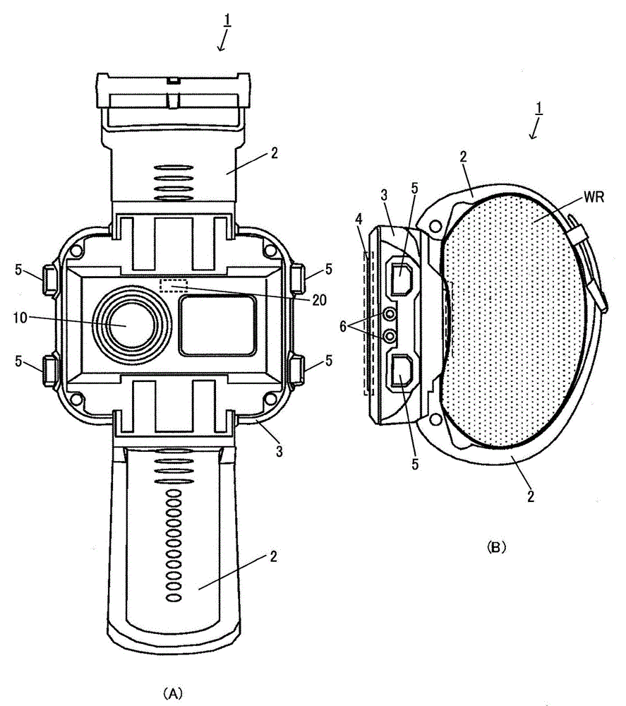 biological information processing device