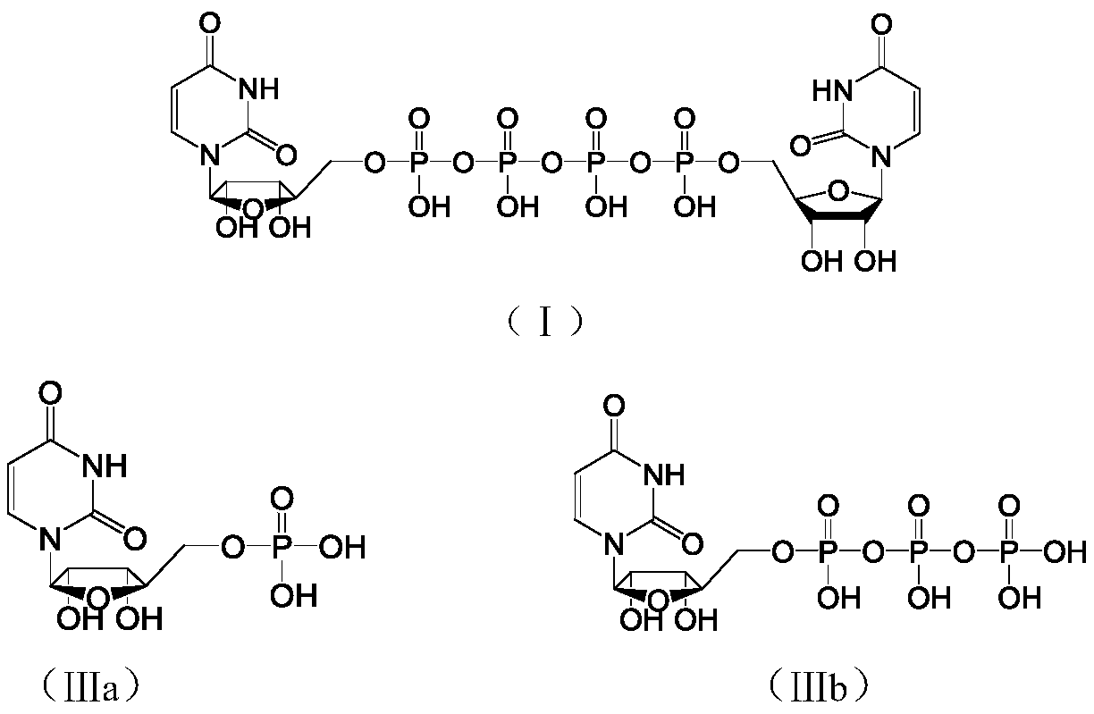 Preparation method for P&lt;1&gt;, P&lt;4&gt;-di(uridine5'-)tetraphosphate