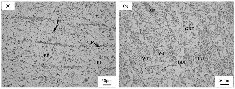 Test method and application method for nucleation growth rule of acicular ferrite in welding process