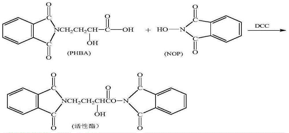 A synthetic method of amikacin