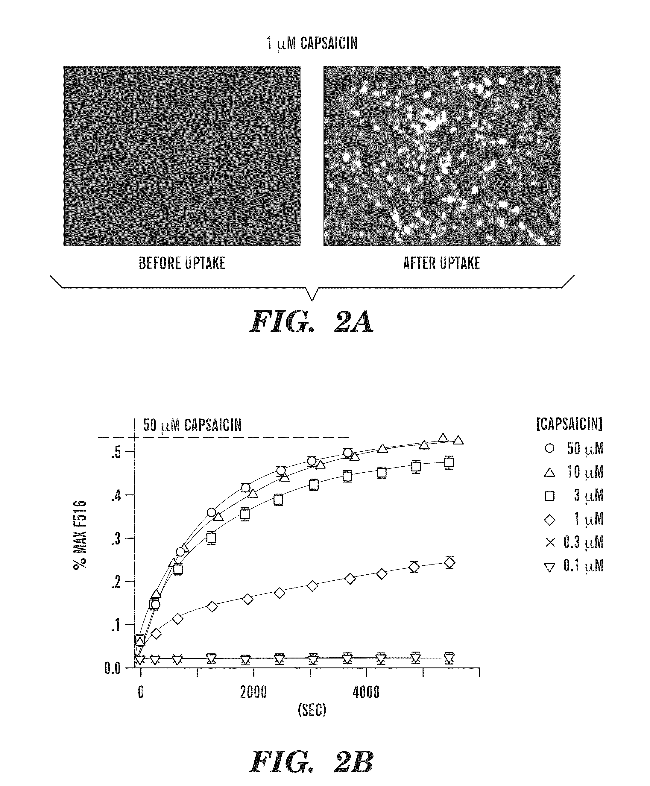 Methods for selective silencing of sensory neurons