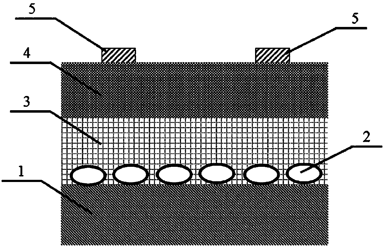 A photoconductive organic semiconductor detector and its preparation method