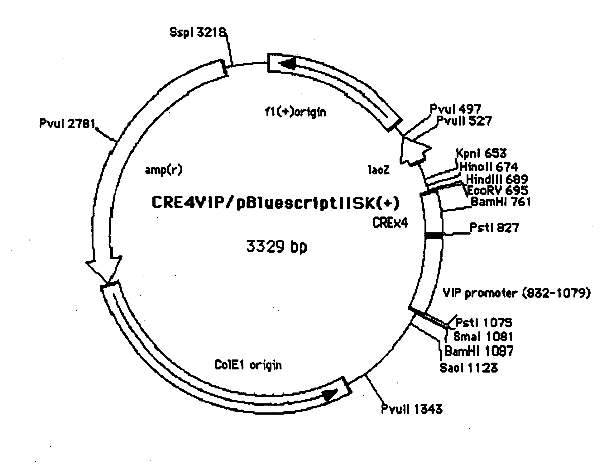 Method of Screening Substance Useful in Treating Disease With the Use of GPR40 and Phospholipase