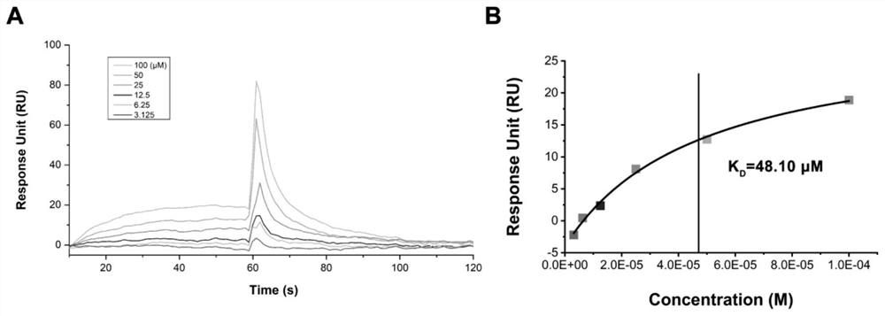 Small molecular compound with antagonism of PD-1/PD-L1 interaction and application of small molecular compound